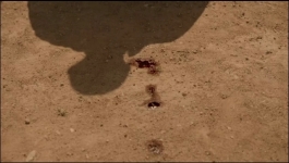 Dark Winds - Season 03 Episode 06